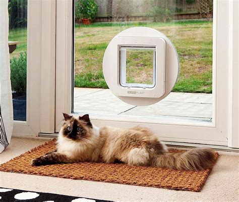 indoor pet door rfid chip|microchip pet doors for cats.